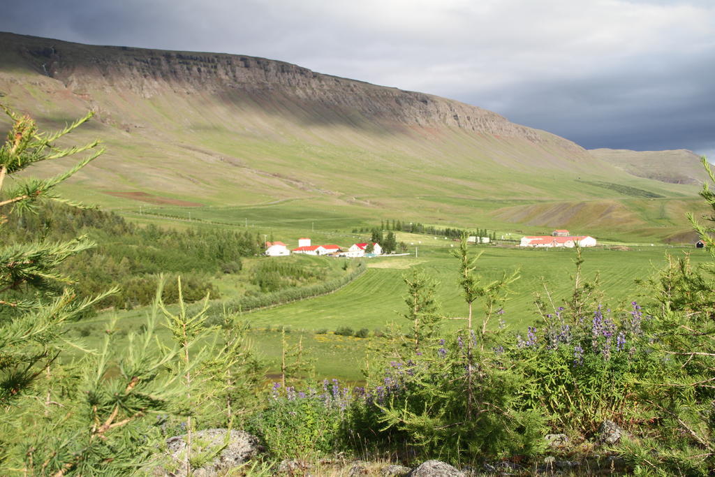 Guesthouse Hof In Vatnsdalur Hof i Vatnsdal Exterior foto