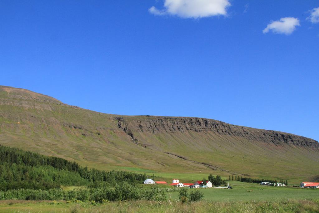 Guesthouse Hof In Vatnsdalur Hof i Vatnsdal Exterior foto